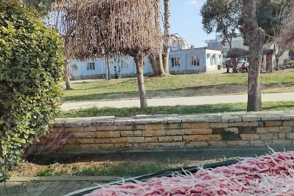 Sakarya Parkı - Resim 4