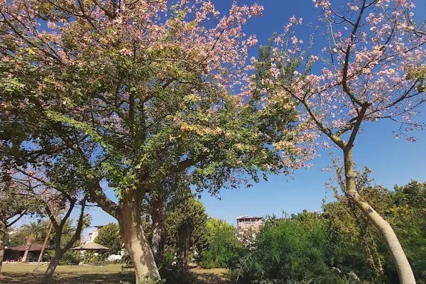 Sakarya Parkı - Resim 2