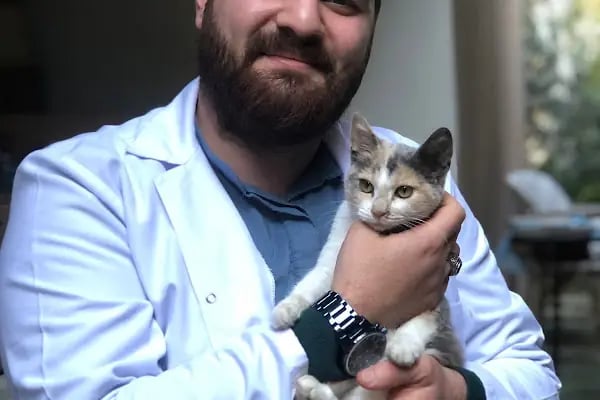Vera Veteriner Kliniği - Resim 13