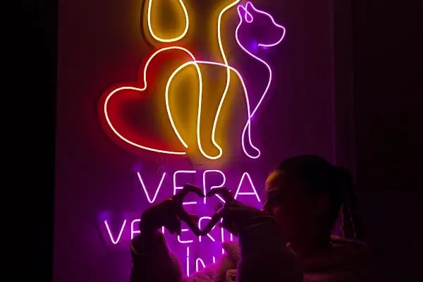 Vera Veteriner Kliniği - Resim 6
