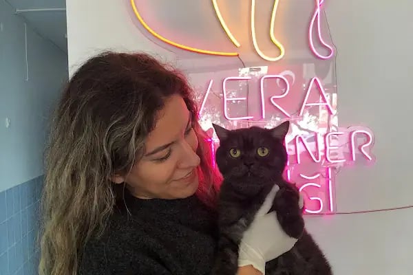 Vera Veteriner Kliniği - Resim 12
