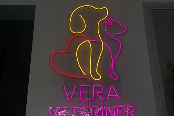 Vera Veteriner Kliniği - Resim 10