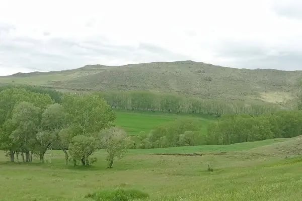 Sulakbahçe Köyü Muhtarlığı - Resim 11