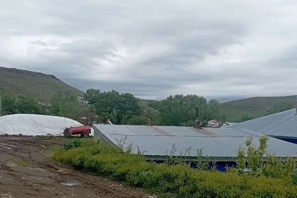 Sulakbahçe Köyü Muhtarlığı - Resim 6