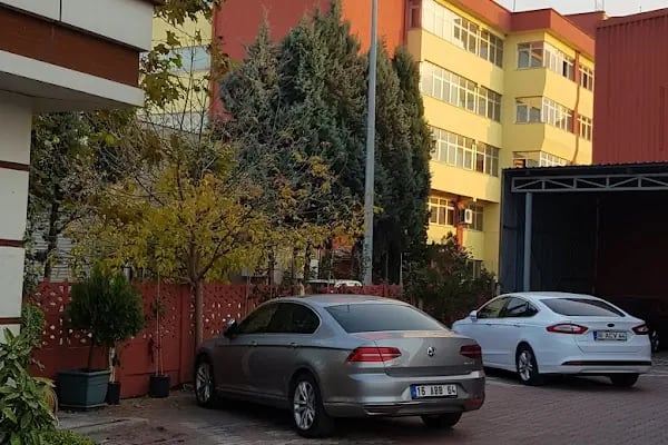 Rasih Çelik - Resim 17