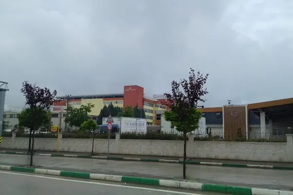 Rasih Çelik - Resim 13