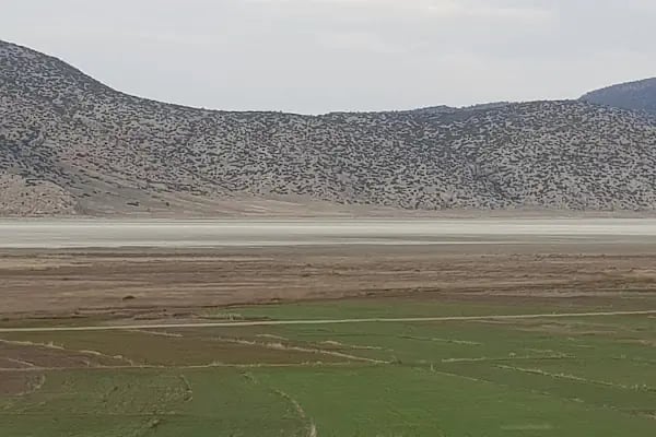 Bayındır Köyü Muhtarlığı - Resim 5