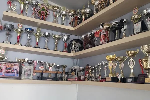 BODRUM SPOR MERKEZİ - Resim 2