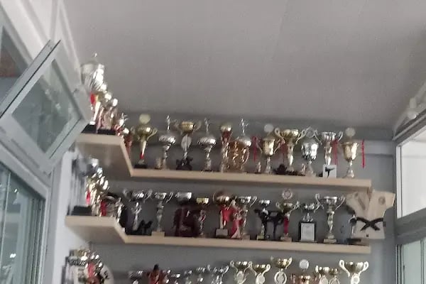 BODRUM SPOR MERKEZİ - Resim 8