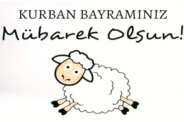 Klinik 33 Ağız ve Diş Sağlığı Polikliniği - Resim 14
