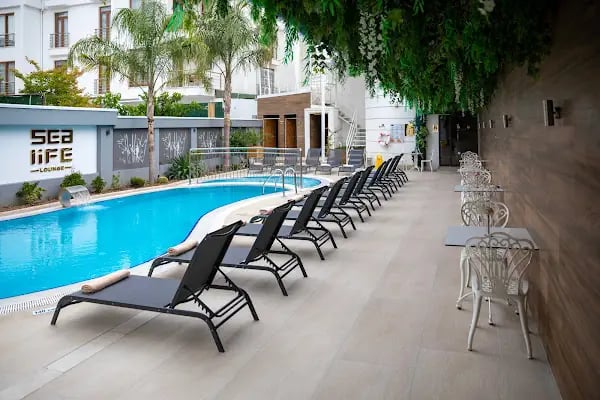 Sealife Lounge Hotel (Adult Only-Sadece Yetişkin) - Resim 3