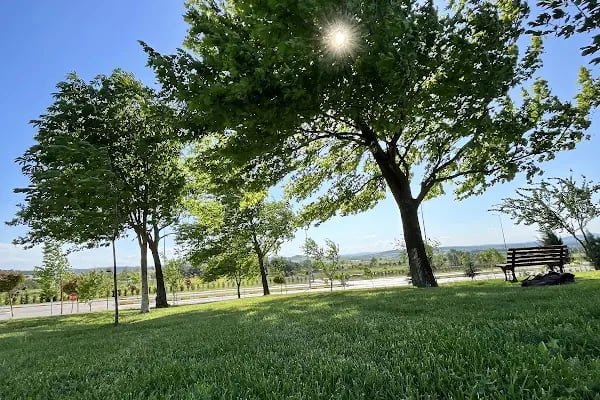 Balikesir Universitesi - Resim 2