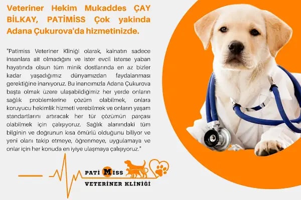 PATİMİSS VETERİNER KLİNİĞİ - Resim 6