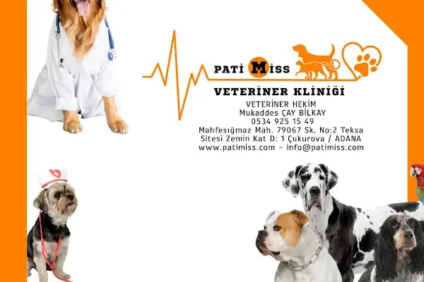 PATİMİSS VETERİNER KLİNİĞİ - Resim 2