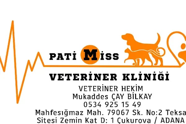 PATİMİSS VETERİNER KLİNİĞİ - Resim 7