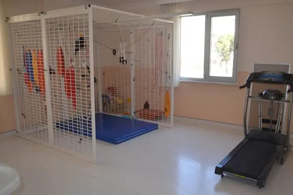 Alfabe Doğal Yaşam Özel Eğitim ve Rehabilitasyon Merkezi - Resim 15