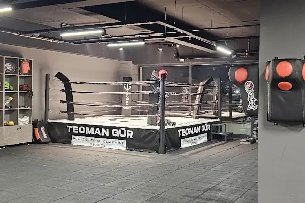 TEOMAN GÜR PROFESSIONAL COACHING SERVICE - Resim 13