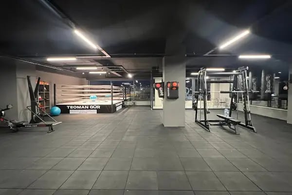 TEOMAN GÜR PROFESSIONAL COACHING SERVICE - Resim 18