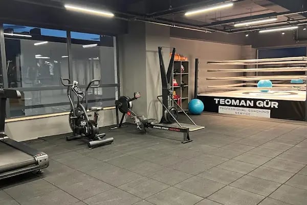 TEOMAN GÜR PROFESSIONAL COACHING SERVICE - Resim 17