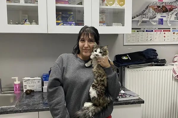 Oasis Veteriner Kliniği - Resim 12