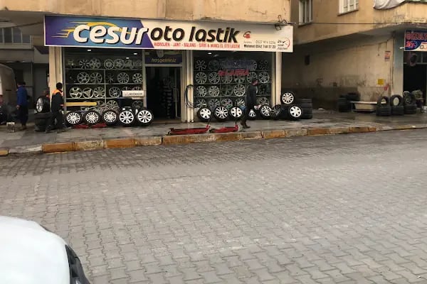 CESUR OTO LASTİK VE JANT - Resim 2