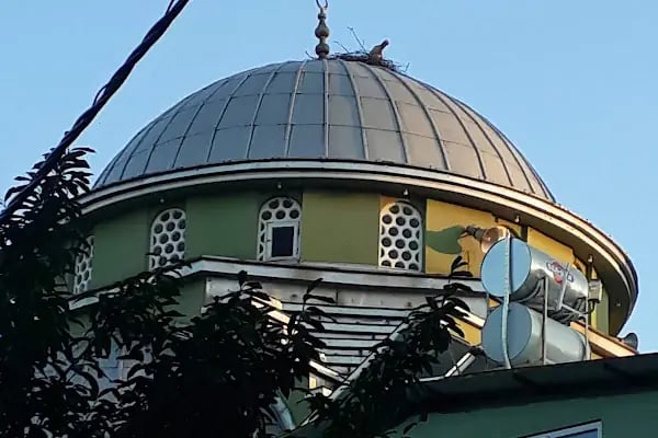 Çark Cami - Resim 8