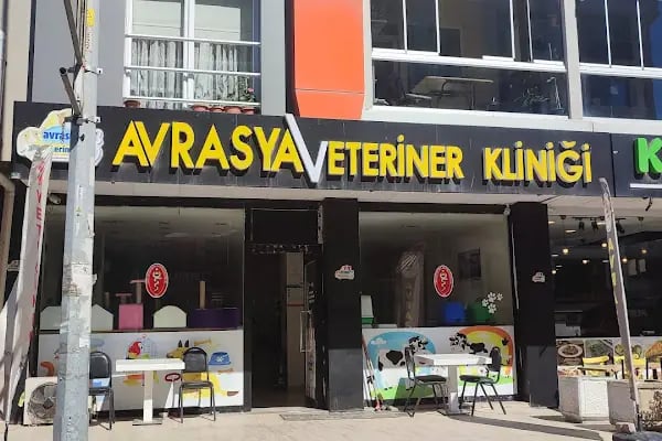 Avrasya Veteriner Kliniği (Çerkezköy) - Resim 13