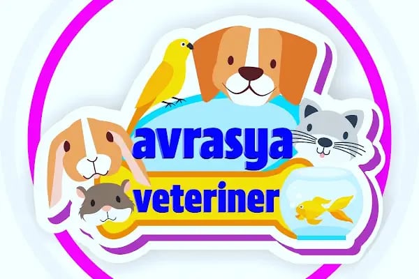 Avrasya Veteriner Kliniği (Çerkezköy) - Resim 10