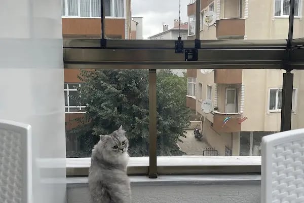 Avrasya Veteriner Kliniği (Çerkezköy) - Resim 6