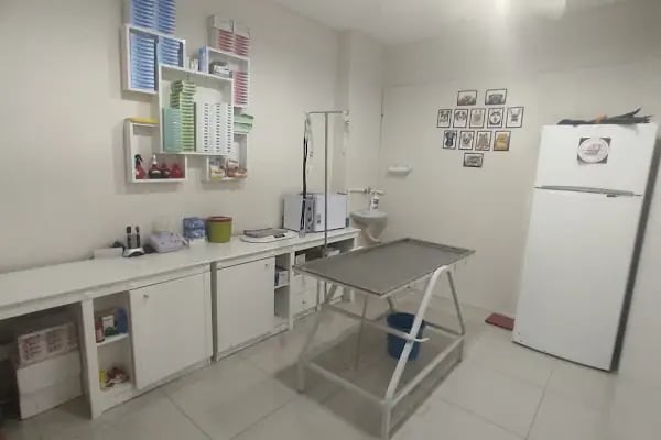 Avrasya Veteriner Kliniği (Çerkezköy) - Resim 12