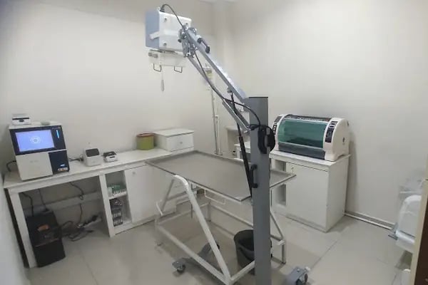 Avrasya Veteriner Kliniği (Çerkezköy) - Resim 4