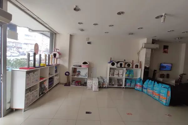 Avrasya Veteriner Kliniği (Çerkezköy) - Resim 16