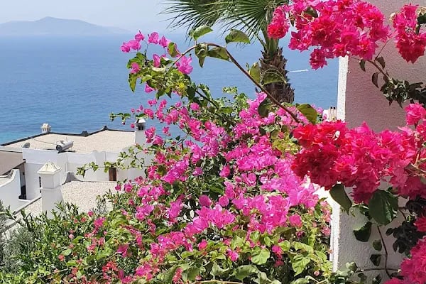 Günışığı Sitesi - Resim 5