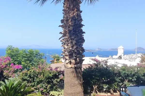 Günışığı Sitesi - Resim 18