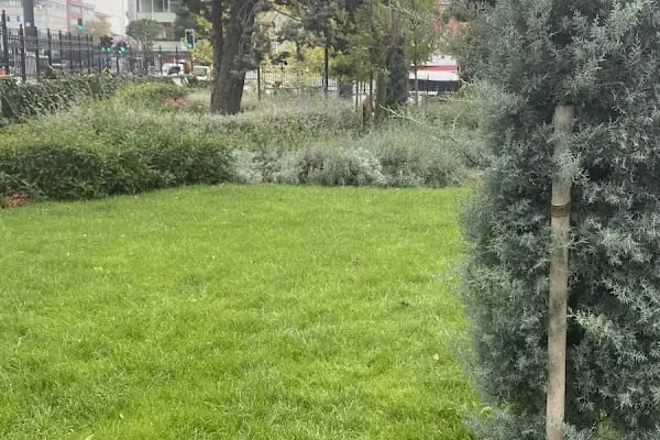 Bağcılar Belediyesi Hizmet Binası - Resim 4