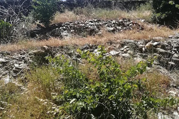 Ovacık Tabiat Parkı - Resim 15