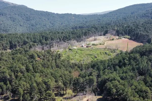 Ovacık Tabiat Parkı - Resim 2