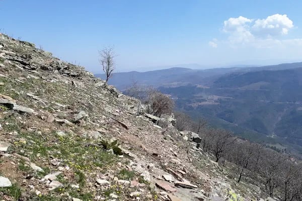 Ovacık Tabiat Parkı - Resim 8