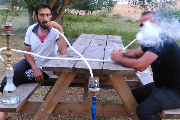 Doğa Piknik Alanı - Resim 5