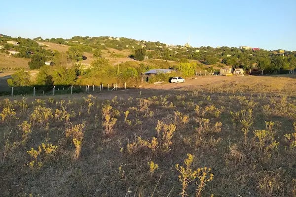 Doğa Piknik Alanı - Resim 12
