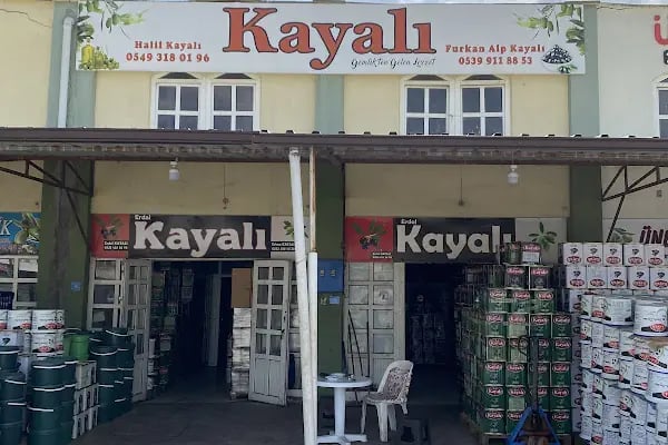 Kayalı Zeytincilik - Resim 4