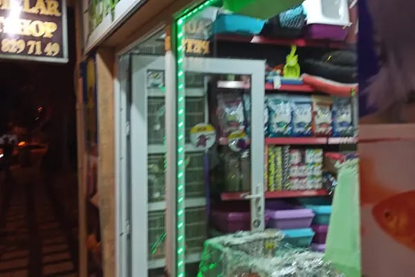 SADIÇLAR PETSHOP - Resim 5