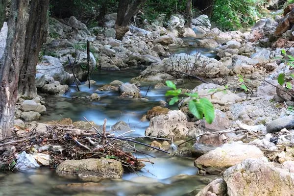 Doğanay Piknik Alanya - Resim 3