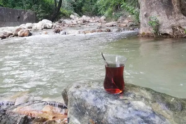 Doğanay Piknik Alanya - Resim 11