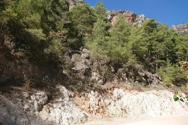 Doğanay Piknik Alanya - Resim 9