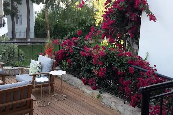 Gülan Apart - Resim 8