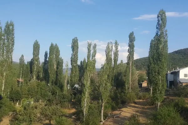 Bartlı Yaylası Ahırlı - Resim 5