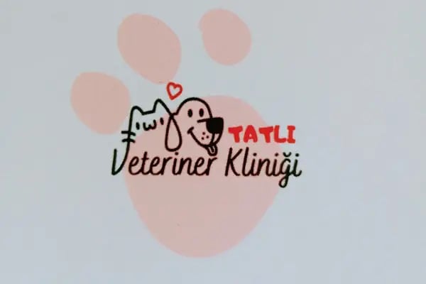 Tatlı Veteriner Kliniği - Resim 2