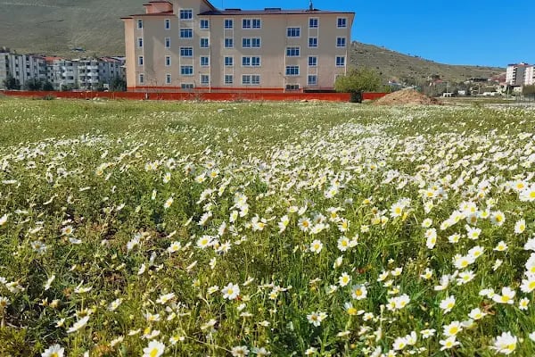 Ertuğrul Gazi İlkokulu - Resim 4