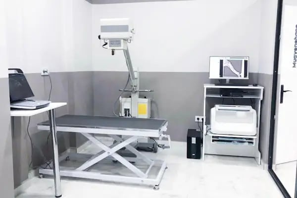 Aydoğan Veteriner Kliniği - Resim 12